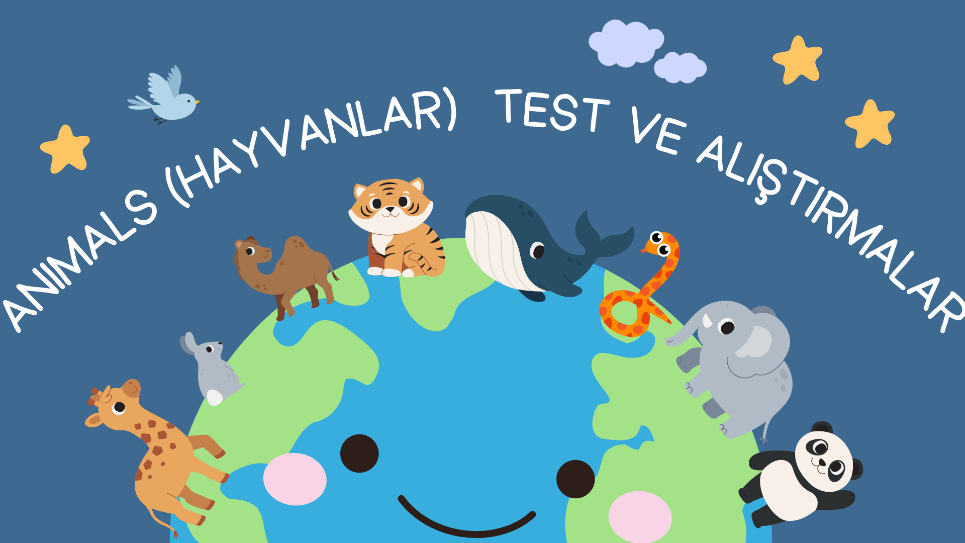 Hayvanlar Animals Test