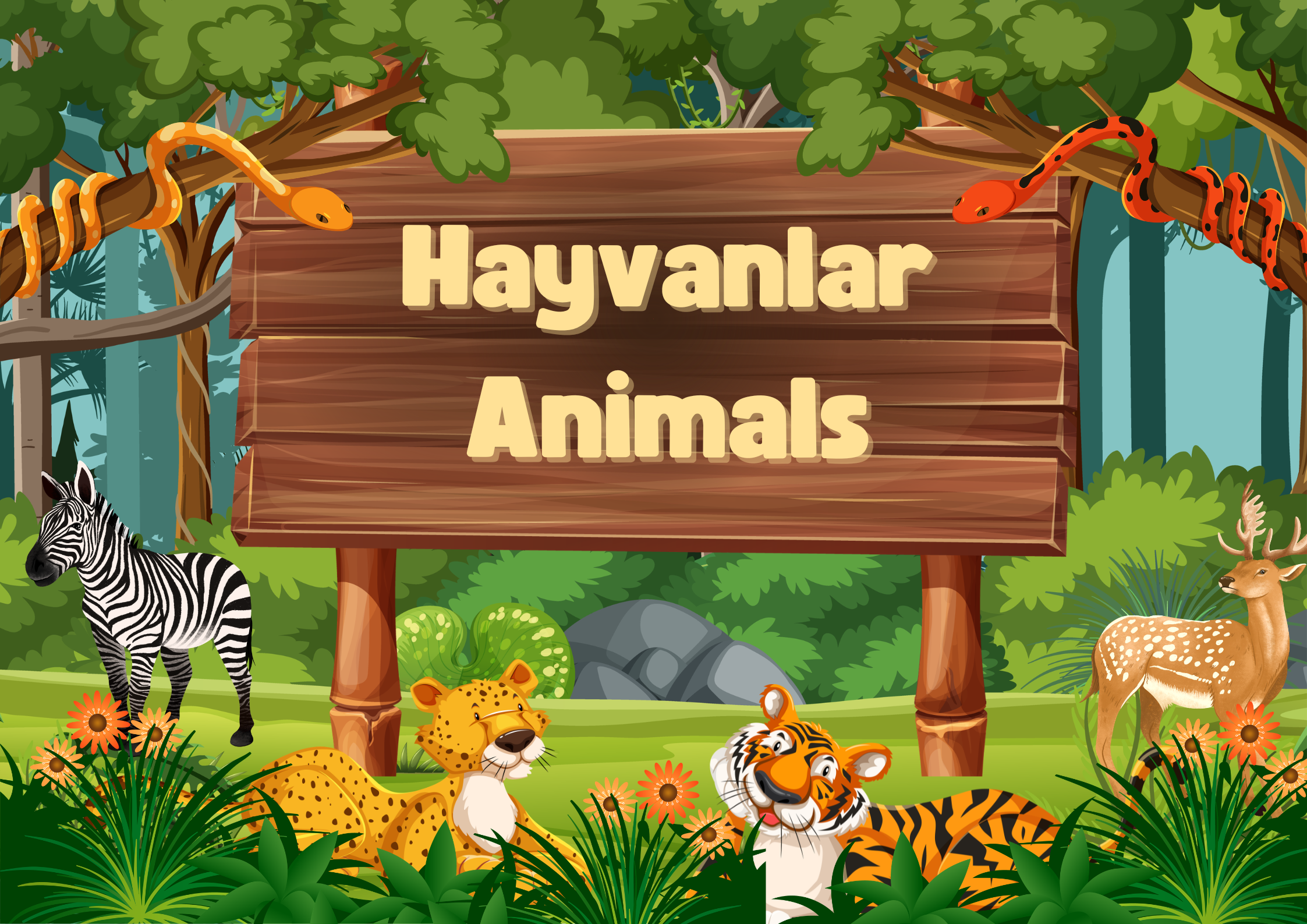 Hayvanlar  (Animals)